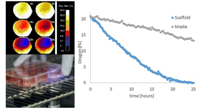 ⽓体分布光谱成像系统（氧、PH、CO2）插图1