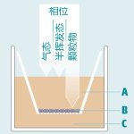 ⽓液界⾯细胞暴露系统插图1 ⽓液界⾯细胞暴露系统插图1