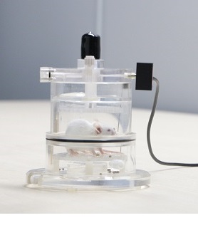 《Frontiers》：塔望科技WBP系统TMDCT（中药）治疗哮喘研究缩略图