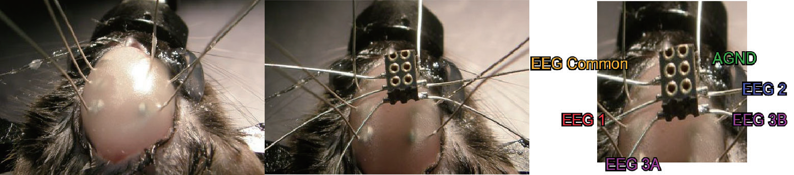 6 针孔连接头插图 6 针孔连接头插图