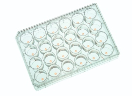 ⽓体分布光谱成像系统（氧、PH、CO2）插图7