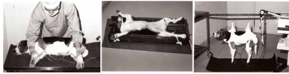 ⼼电图采集与解析系统插图5