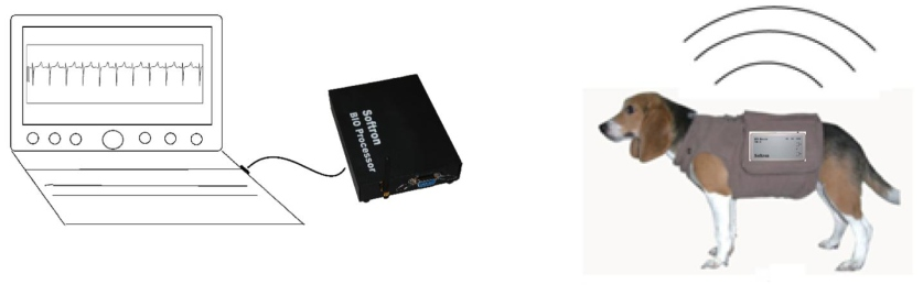 大动物生理信号遥测系统插图 大动物生理信号遥测系统插图