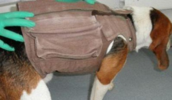 大动物生理信号遥测系统插图4 大动物生理信号遥测系统插图4