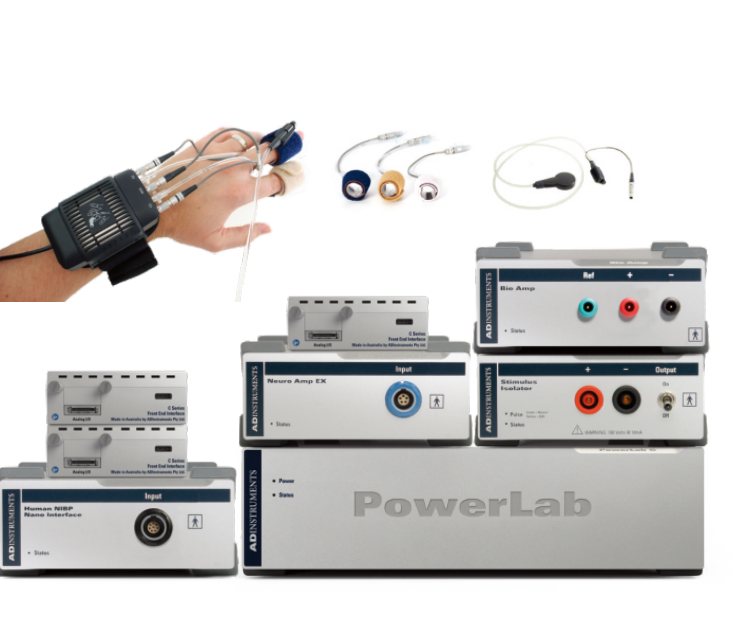 显微神经显像插图 显微神经显像插图