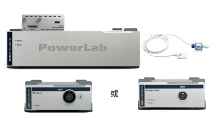 有创血压仪插图1