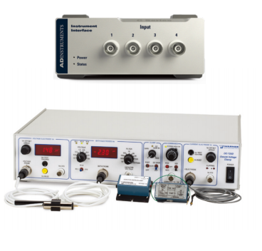 细胞内记录插图 细胞内记录插图