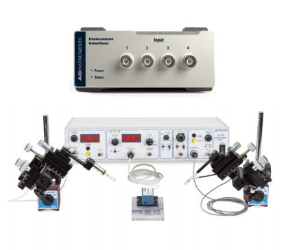 细胞内记录插图1 细胞内记录插图1