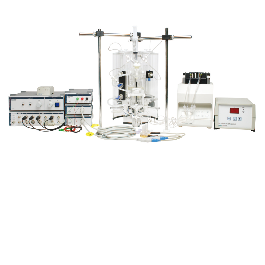 离体组织器官实验