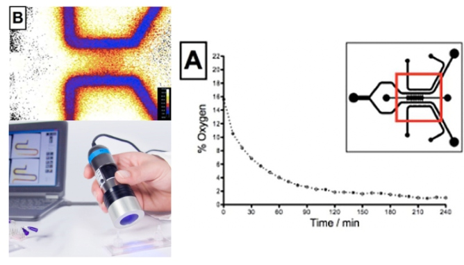 ⽓体分布光谱成像系统（氧、PH、CO2）插图2