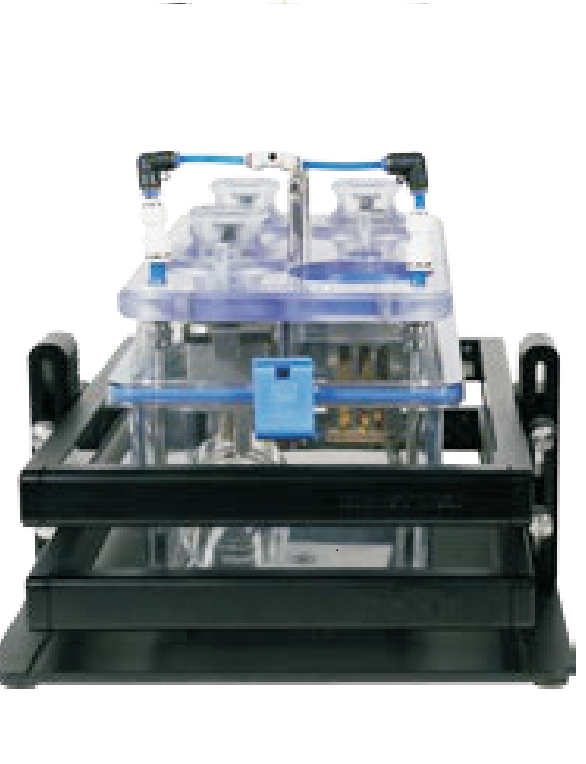 大鼠气管狭窄对能量代谢和呼吸的影响缩略图