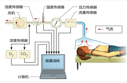 ⼈体营养代谢测量⻋插图2 ⼈体营养代谢测量⻋插图2