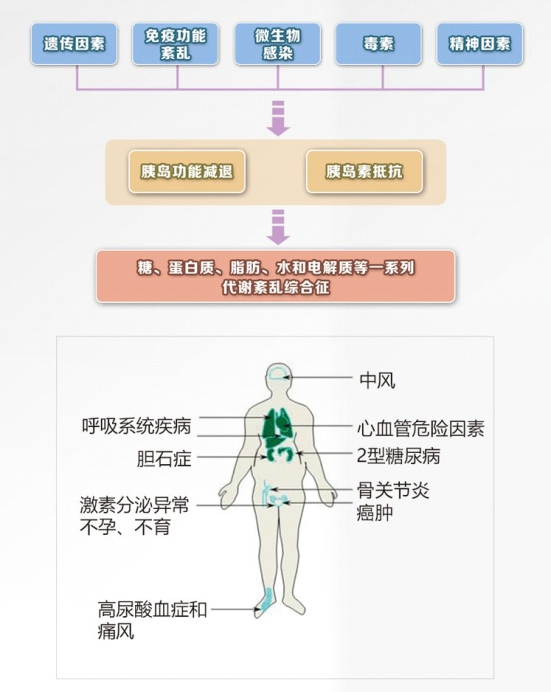 ⼈体营养代谢测量⻋插图3 ⼈体营养代谢测量⻋插图3
