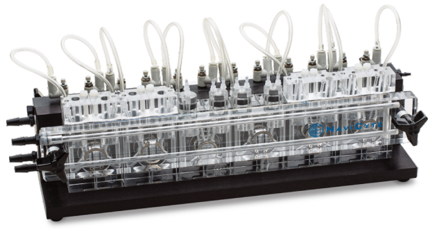 上⽪和尤斯灌流插图2 上⽪和尤斯灌流插图2