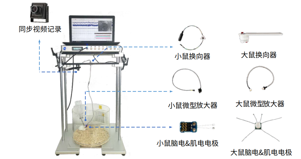 ⼩动物电⽣理记录系统插图3 ⼩动物电⽣理记录系统插图3