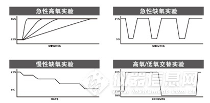 大号动物低氧实验系统OX-100插图