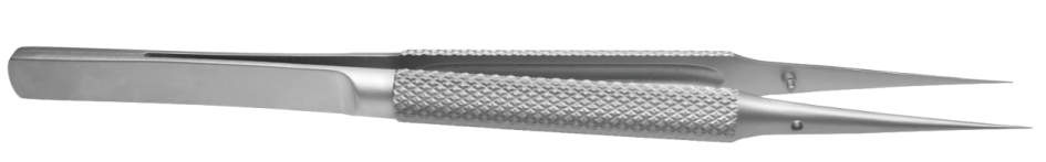 显微镊插图6 显微镊插图6