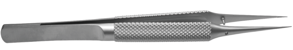 显微镊插图7 显微镊插图7