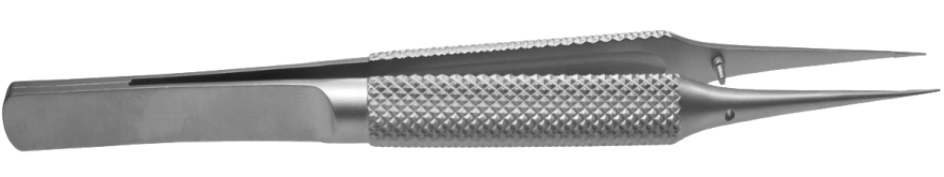 显微镊插图8 显微镊插图8