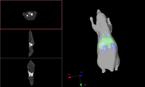 多模式动物活体成像系统插图6