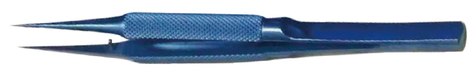 显微镊插图10 显微镊插图10