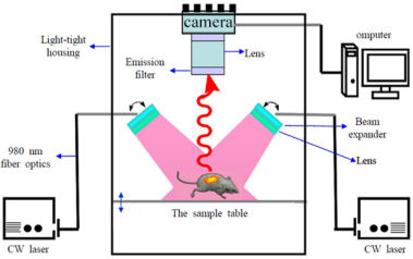 多模式动物活体成像系统插图10