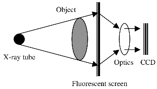 多模式动物活体成像系统插图11