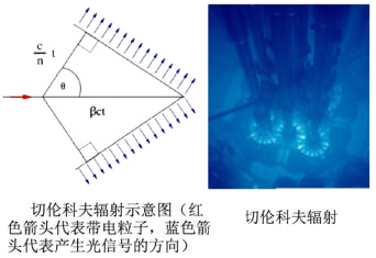 多模式动物活体成像系统插图12