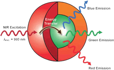多模式动物活体成像系统插图13