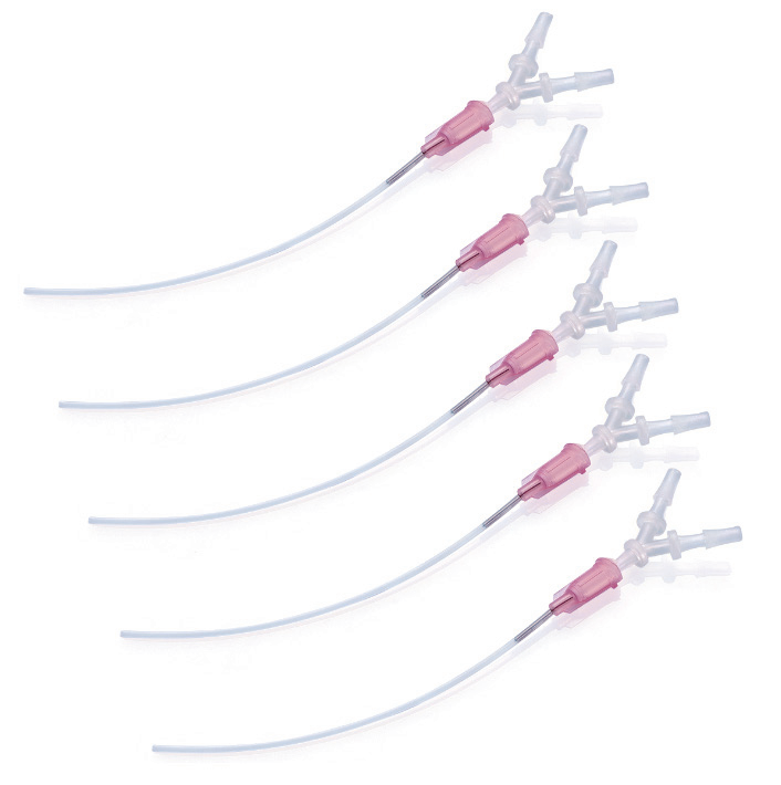 大、小鼠气管插管插图