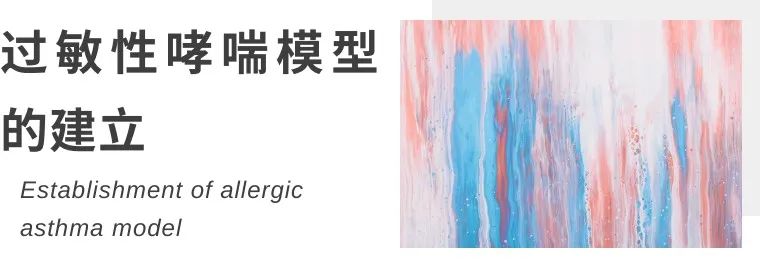 《Frontiers》：塔望科技WBP系统TMDCT（中药）治疗哮喘研究插图4