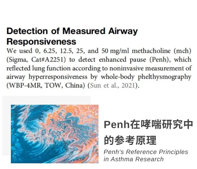 《Frontiers》：塔望科技WBP系统TMDCT（中药）治疗哮喘研究插图9