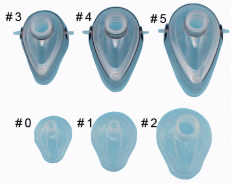 猫犬科麻醉面罩插图