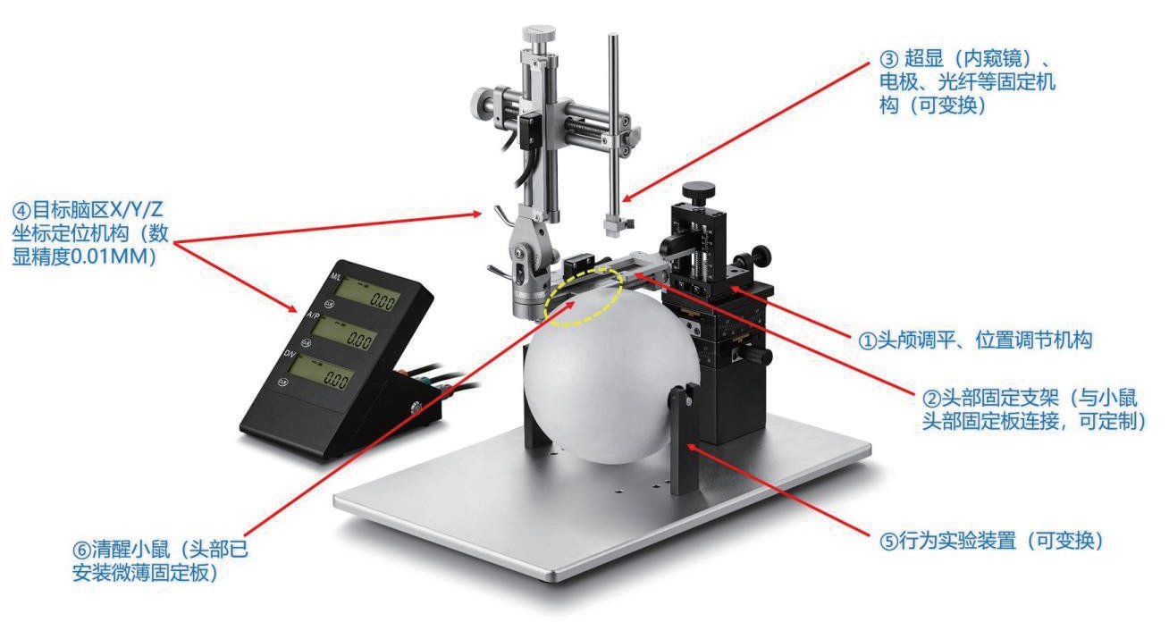 清醒小鼠定位仪插图 清醒小鼠定位仪插图