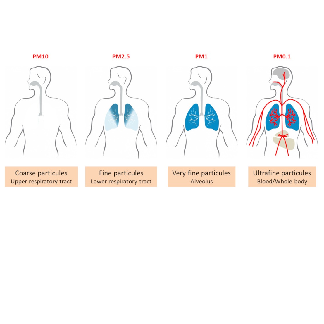气溶胶及环境监测