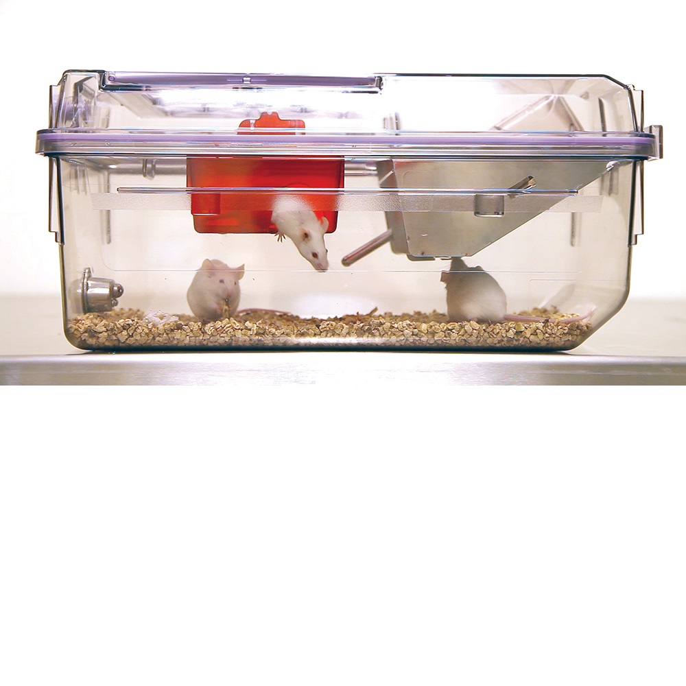 动物饲养配套设备