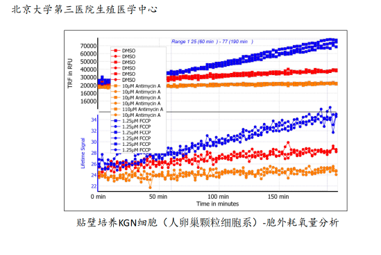 细胞能量代谢监测系统插图2 细胞能量代谢监测系统插图2