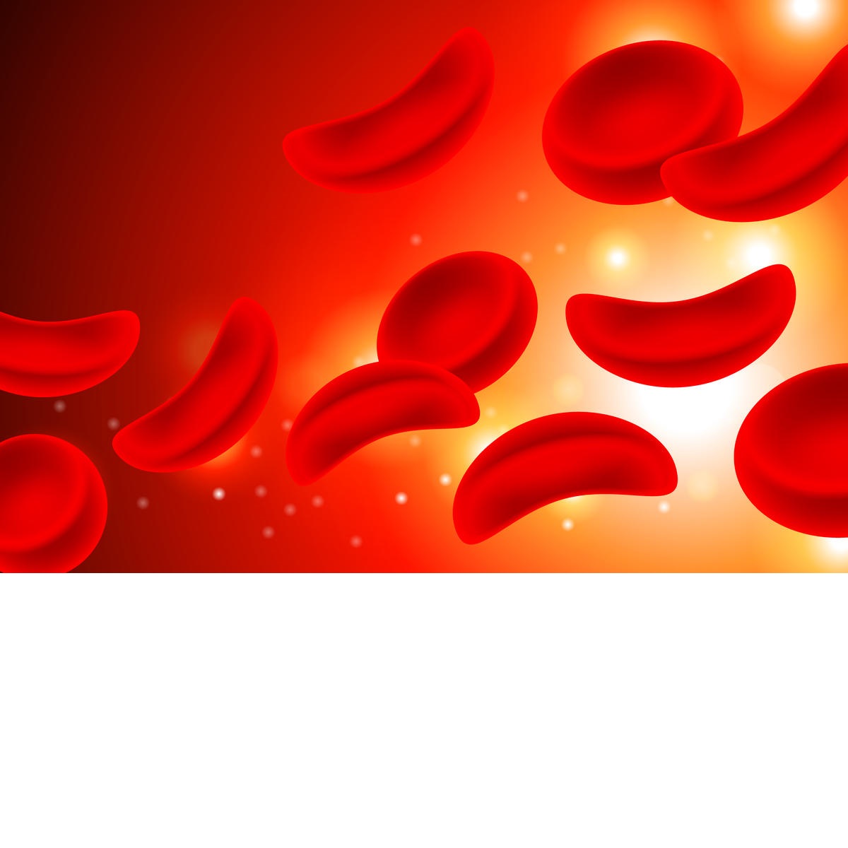 生化血液分析检验