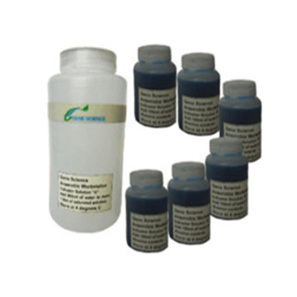 厌氧指示剂插图 厌氧指示剂插图