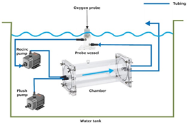 水生生物呼吸代谢测量系统插图 水生生物呼吸代谢测量系统插图