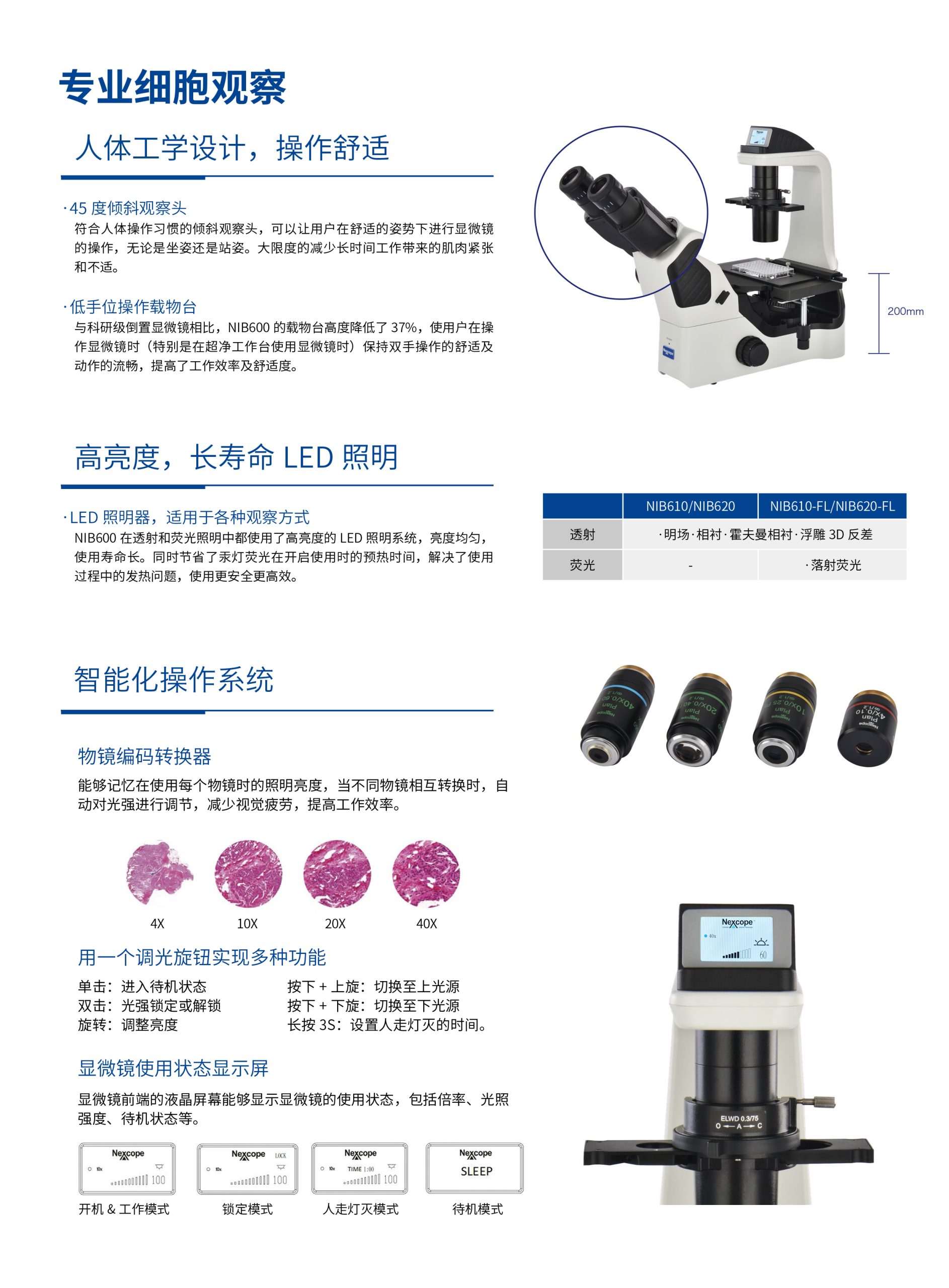 培养用倒置生物显微镜NIB600插图