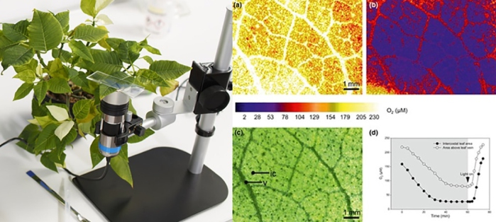 ⽓体分布光谱成像系统（氧、PH、CO2）插图4
