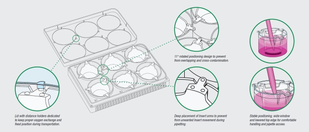 细胞培养插件-细胞培养⼩室插图3