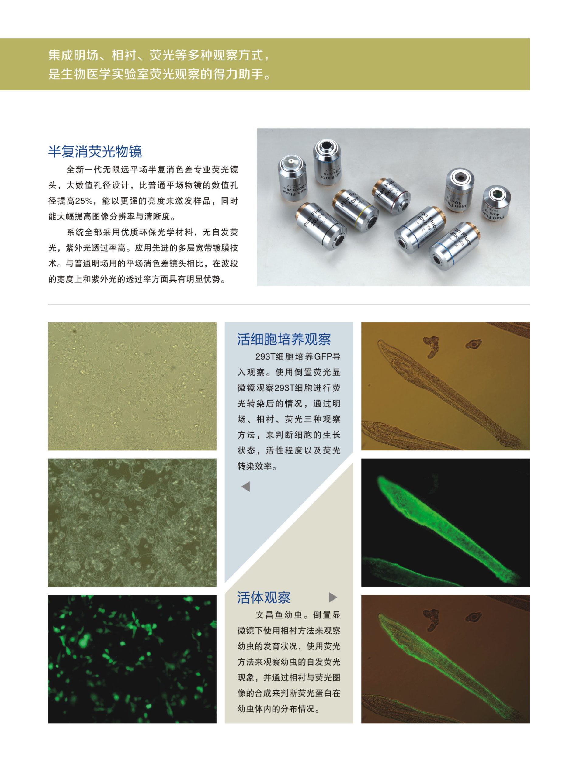 XD实验室生物显微镜插图2