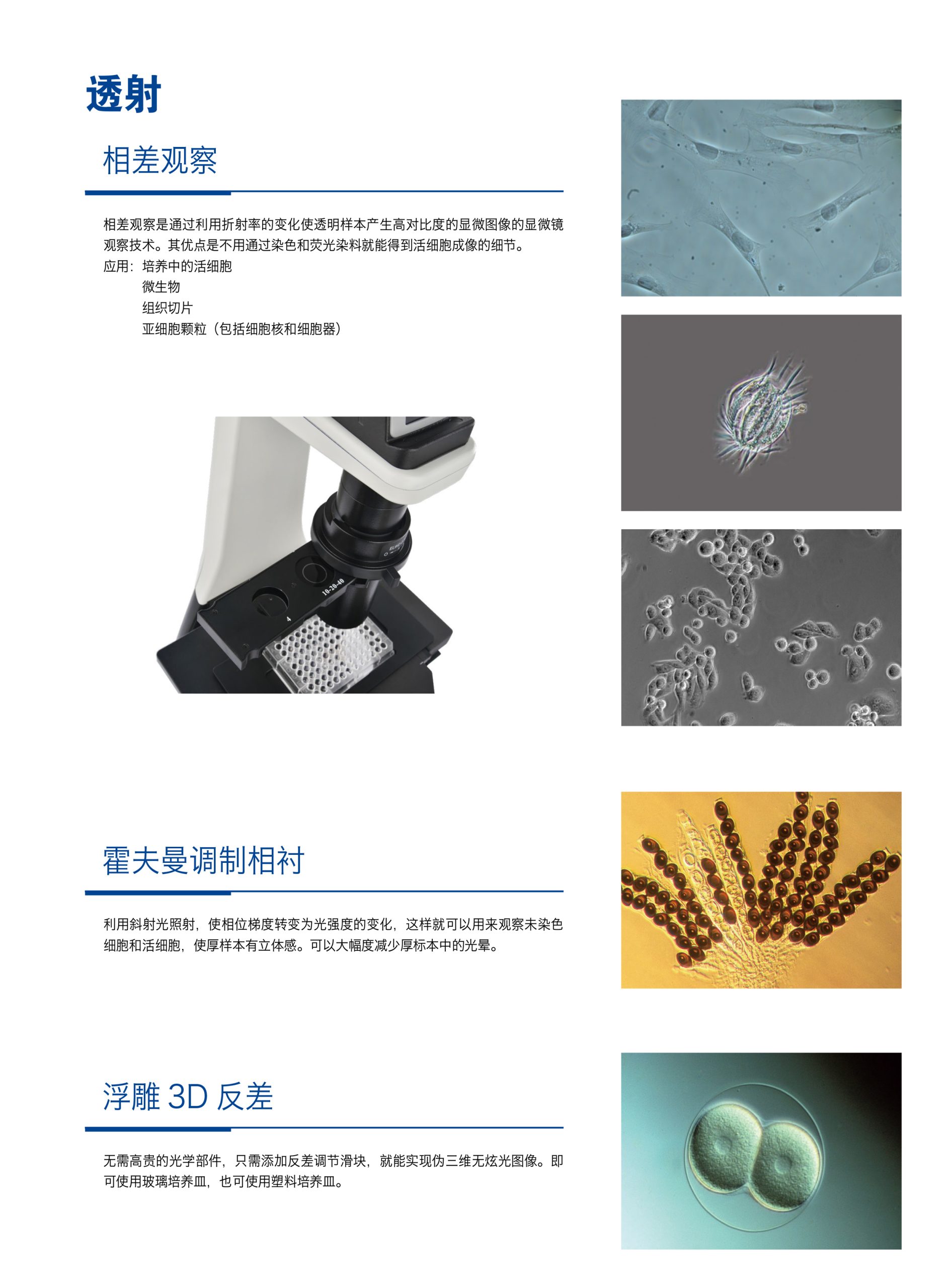 培养用倒置生物显微镜NIB600插图2