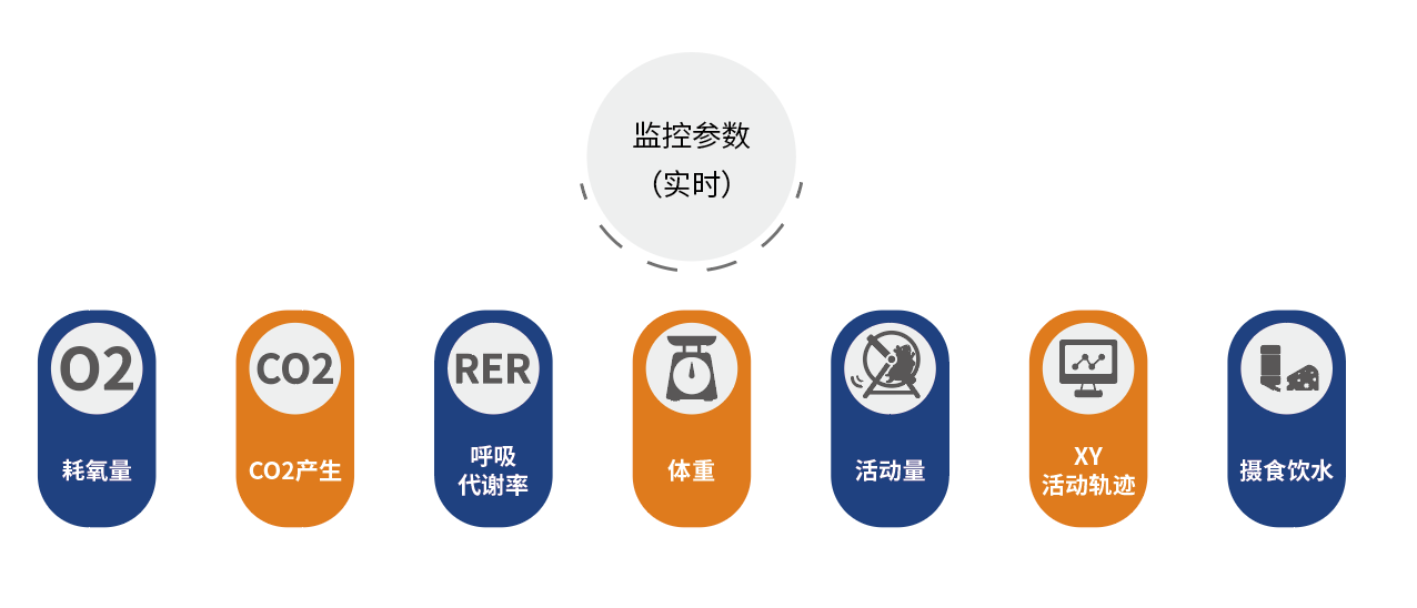 动物能量代谢监测系统EW-XM插图2 动物能量代谢监测系统EW-XM插图2