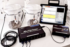 MouseOx 大小鼠血氧监护仪插图2 MouseOx 大小鼠血氧监护仪插图2