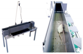 步态身体承重测量系统插图 步态身体承重测量系统插图