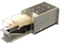 爬梯实验箱插图