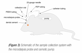 植入式胶囊渗透压泵ALZET Osmotic Pumps插图1 植入式胶囊渗透压泵ALZET Osmotic Pumps插图1